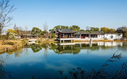 星座预警！这些星座2026年去虎丘要倒大霉！