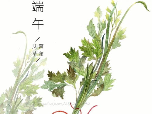 艾叶传统与现代融合，爆款民俗新风尚