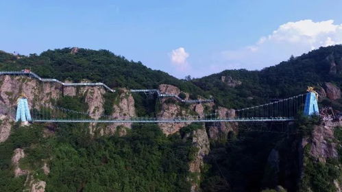 第二天：跨国游览， 体验异域风情