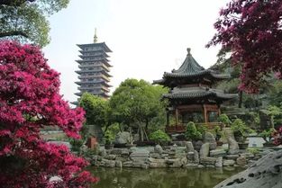 终点——砀山古韵景区：历史持续发展与天然交融