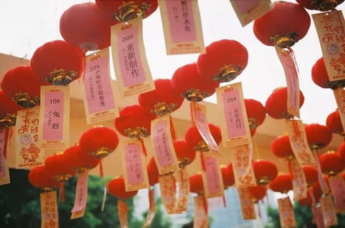 厦门中秋风俗：闽南赏月、吃月饼、猜灯谜热！