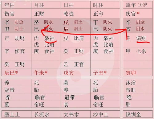 职业选择与命运轨迹