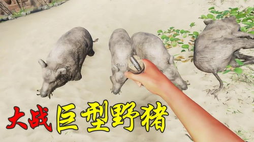 小岛概况：风水堪忧之地