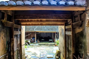 四、今后展望：沉重生还是终结？