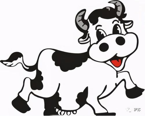 当鼠遇到牛：尴尬还是默契？