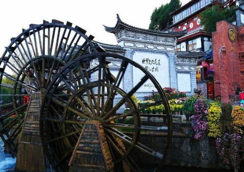 一、 古城入口的“书海”乱流