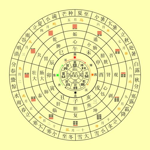 八字中透甲癸究竟蕴含着哪些独特的命理含义？