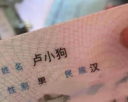 1．牟姓的历史持续发展与文化底蕴脉络（不全是正经）