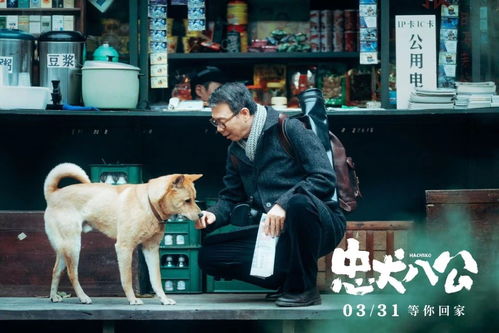 较高寒冷范儿：神秘主义命名法
