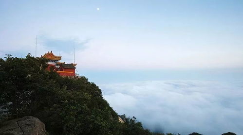 别只看佛像啊！还有这一些不能错过
