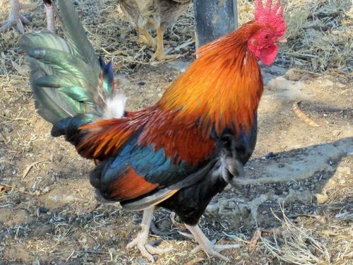 凭什么十五这天这么神？