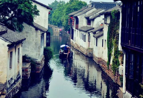 - 小桥流水人家：温暖而安逸的生活场景