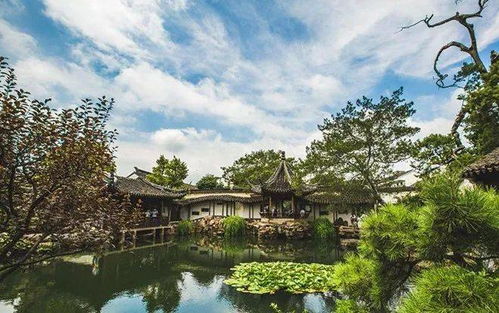 网师园：小中见大，别有洞天（也别有蚊子！）