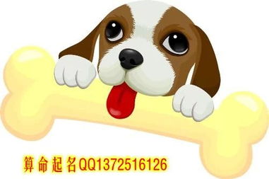 十二生肖中哪个生肖的吉凶判断最准确？