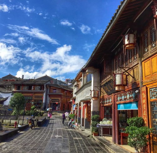 住宿体验：与蟑螂同眠