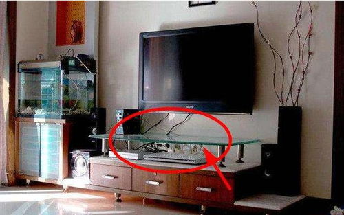 啊这...鱼缸到底该放哪儿？看完这篇你就懵了！