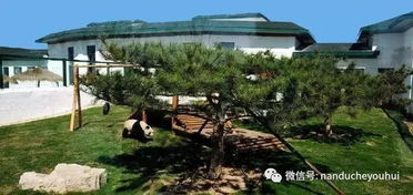南雄动植物园：一场让你怀疑人生的