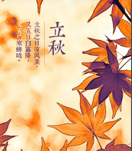 秋风扫落叶，2026年挖坑指南