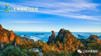 随机插入乱码