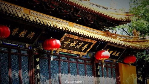 一、 普陀山的灵魂：普济禅寺——感受那份静谧与喧嚣
