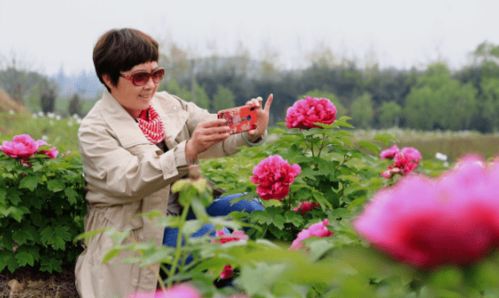 除了花，还能干啥？