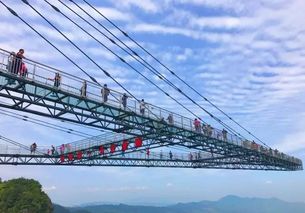 二、门票市场价格：钱包准备良好了吗？