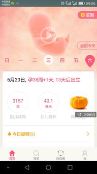傅字？辅助？教导？呵呵