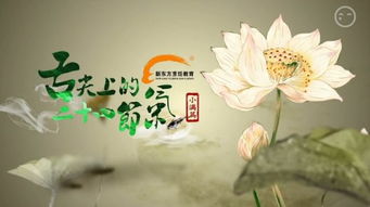 立夏风俗盛宴，夏日序曲，爆款来袭！