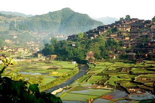 苗岭美食，舌尖上的诱惑，我胖了我也认了！