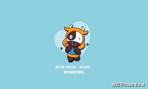 当慢动作遇上快节奏社会