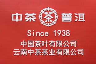 四、交通指南：如何轻松抵达三庆园