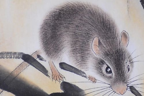 第一一部分：属鼠人的天然优势——灵活变通的商业活动天赋