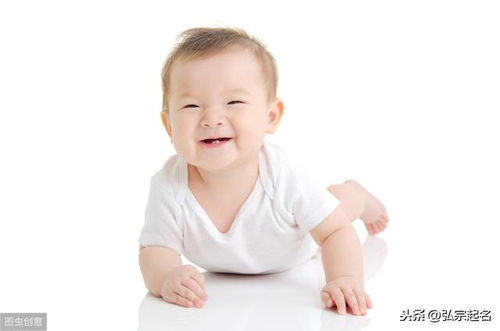 2026年免费猪宝宝起名，有哪些好听的名字推荐？