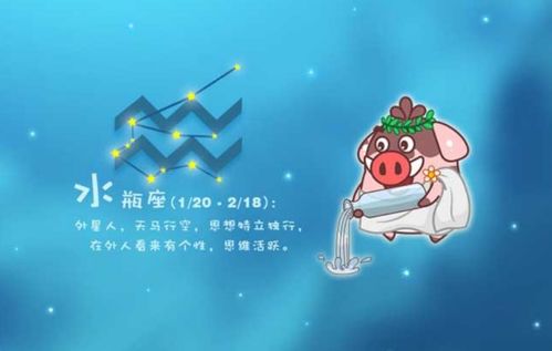 学业与个人成长