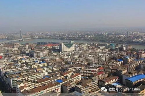 江苏宜兴：教授批发市场
