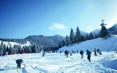 冬日的东北， 一场冰雪的盛宴