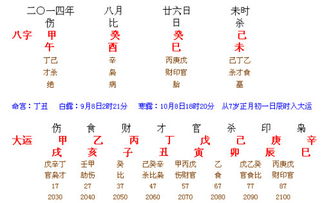 具体案例分析