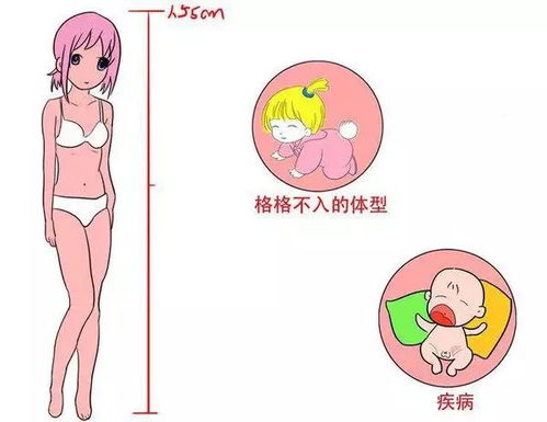 2. 营养成分与体脂：你胖还是瘦？月经更愿意找谁！