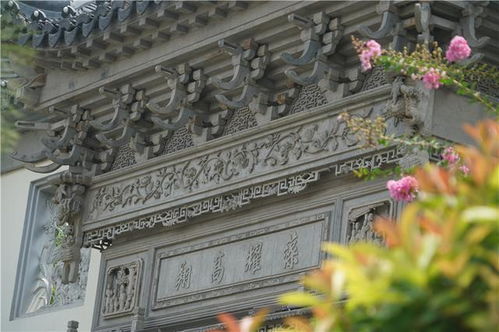 深入醉园：砖雕、拱桥与微雕