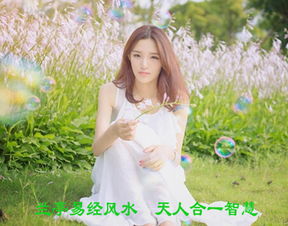 如何根据生辰八字免费挑选合适的车牌号码？