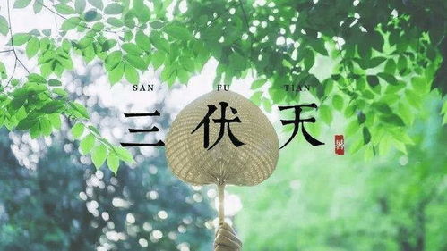三伏天传统习俗，养生避暑秘籍大揭秘