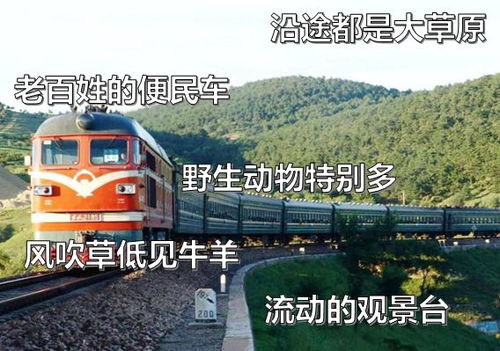 T302次列车上的时空穿梭：摇晃在时光缝隙里的“移动博物馆”