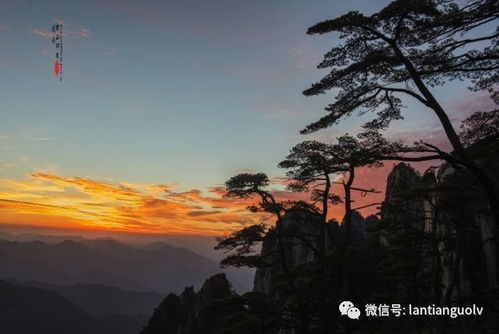 当朋友圈都在晒黄山云海时，我在阜南的泥坑里打滚