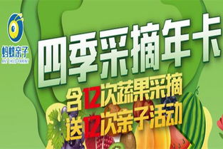 亲子互动区：孩子眼中的奇幻乐园