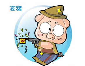 家里有三只猪的八字命理，这样的命运好不好呢？