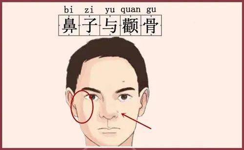 二、鼻相大起底：你家男人是霸道总裁还是软饭男