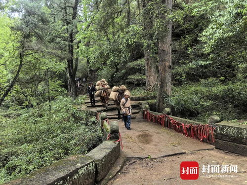 一、蜀道难，难于上青天？还是难在人心？