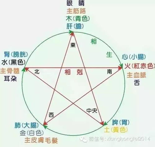 健康警报！你的肝在哭泣！