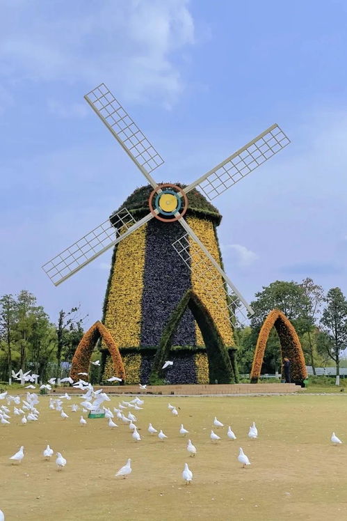 海陵岛星辰屿海悬崖餐厅：吉他造型？我看像马桶！