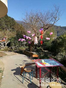 三峡旅游：真的假的？！